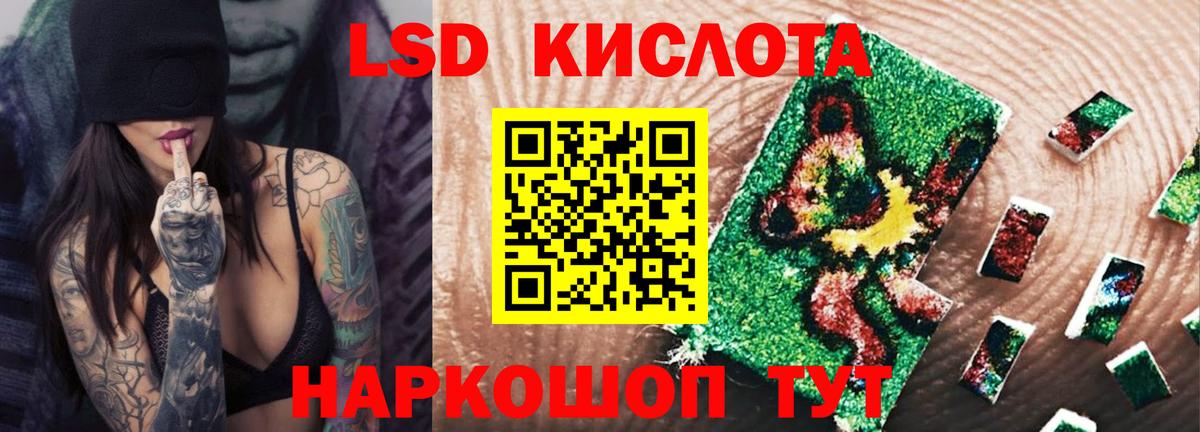     Вход с VPN  Армавир  LSD-25 экстази  LSD-25 экстази ecstasy  ЛСД экстази ecstasy 